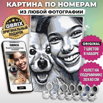 Картина по номерам из любой фотографии QBRIX ORIGINAL 30х40